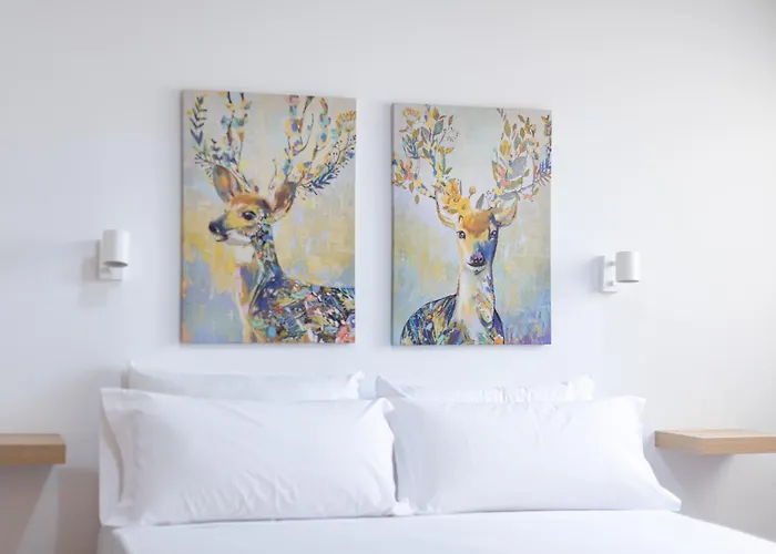 Almar Sagasta Las Palmas de Gran Canaria